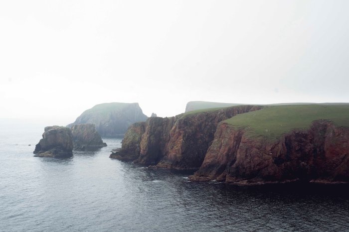 City Mouse Island MouseMareel