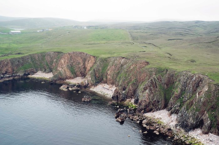 City Mouse Island Mouse Mareel