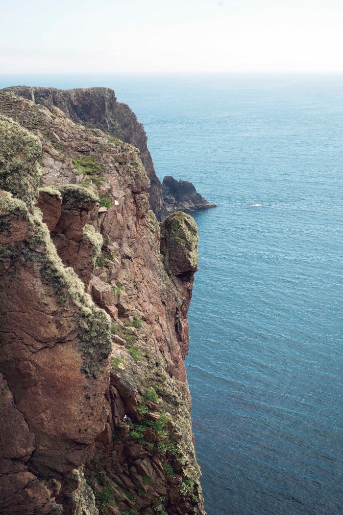 City Mouse Island MouseMareel