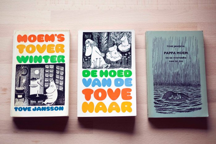 City Mouse Island Mouse