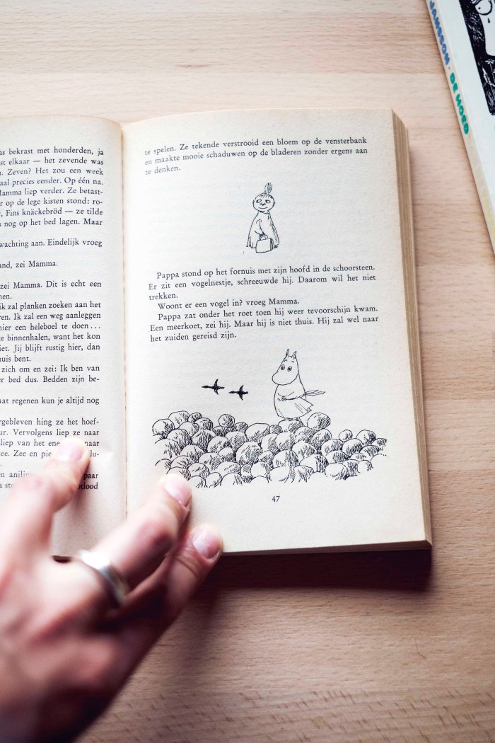 City Mouse Island Mouse